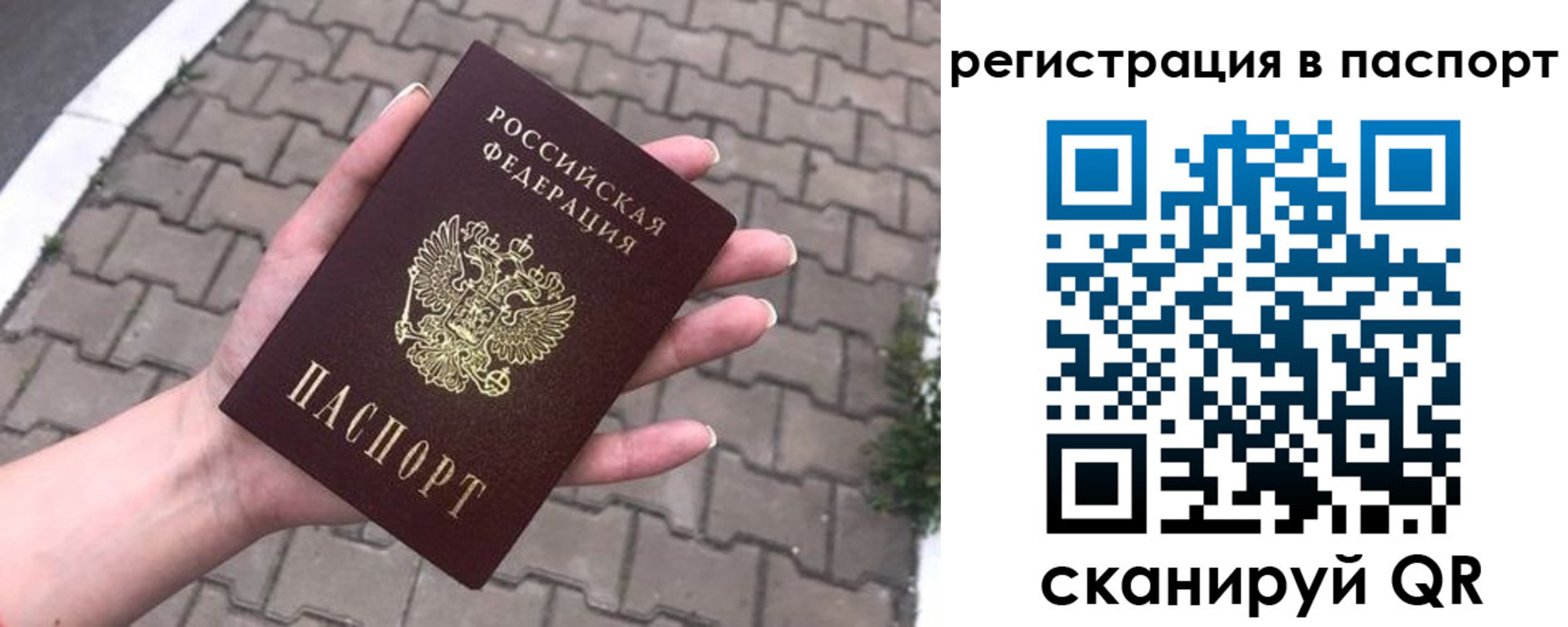 прописка 2025 в Шумихе